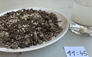 Löslichkeitstest um 11:45 Uhr: feines Kalkgranulat auf der Erde, rechts das Wasserglas